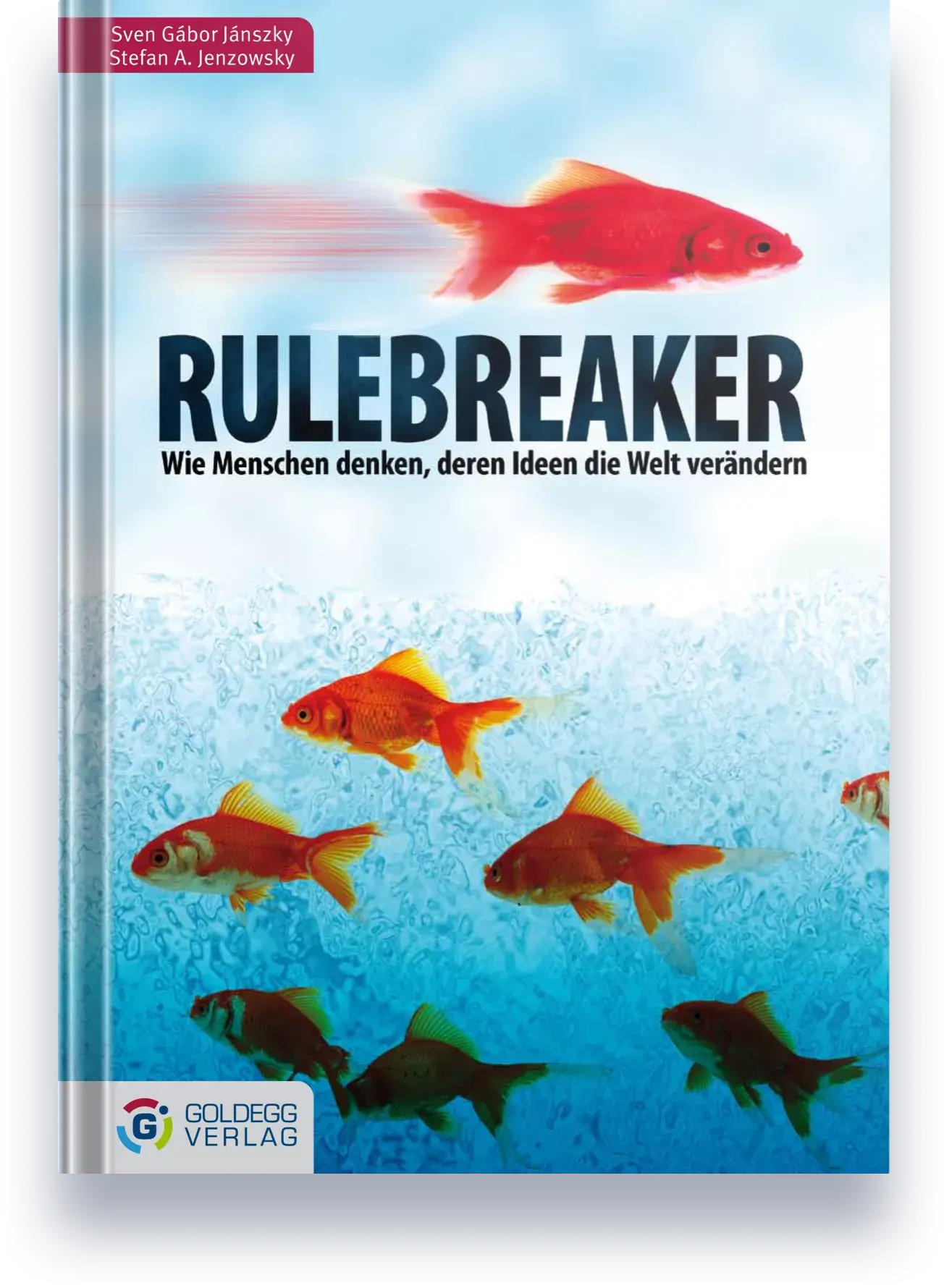 Buchcover von Rulebreaker